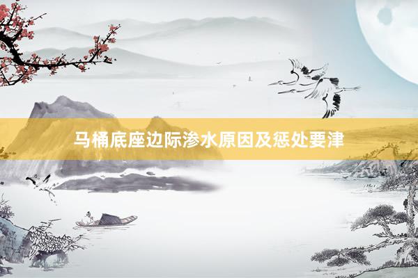 马桶底座边际渗水原因及惩处要津